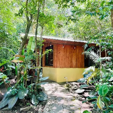 Cabanas La Montana Monteverde Exterior photo