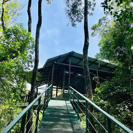 Cabanas La Montana Monteverde Exterior photo