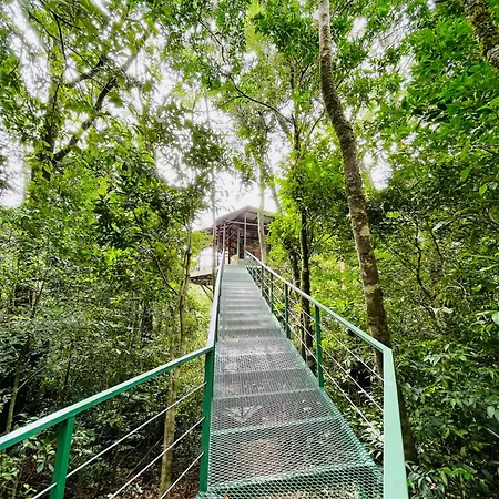 Cabanas La Montana Monteverde Exterior photo
