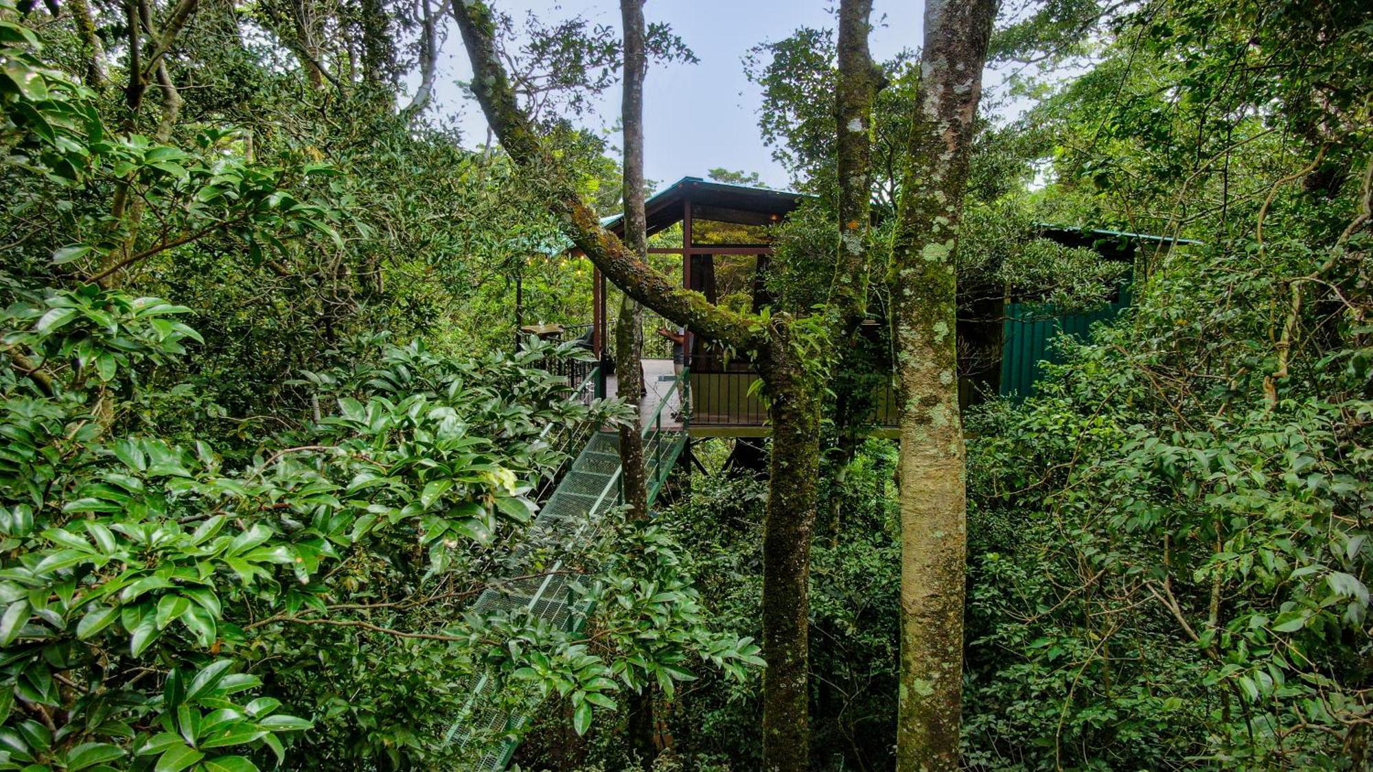 La Montana Lodge Monteverde