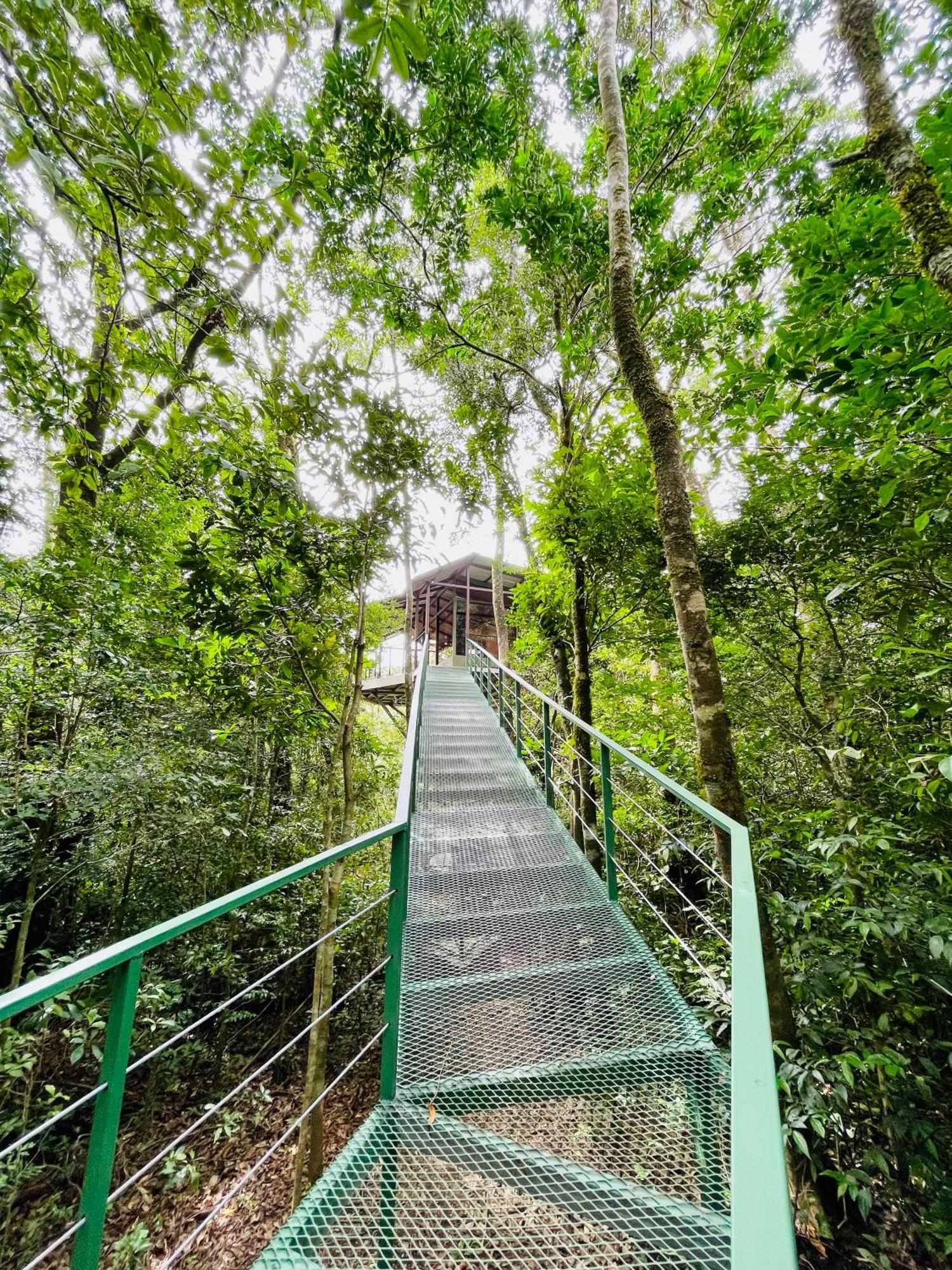 La Montana Monteverde