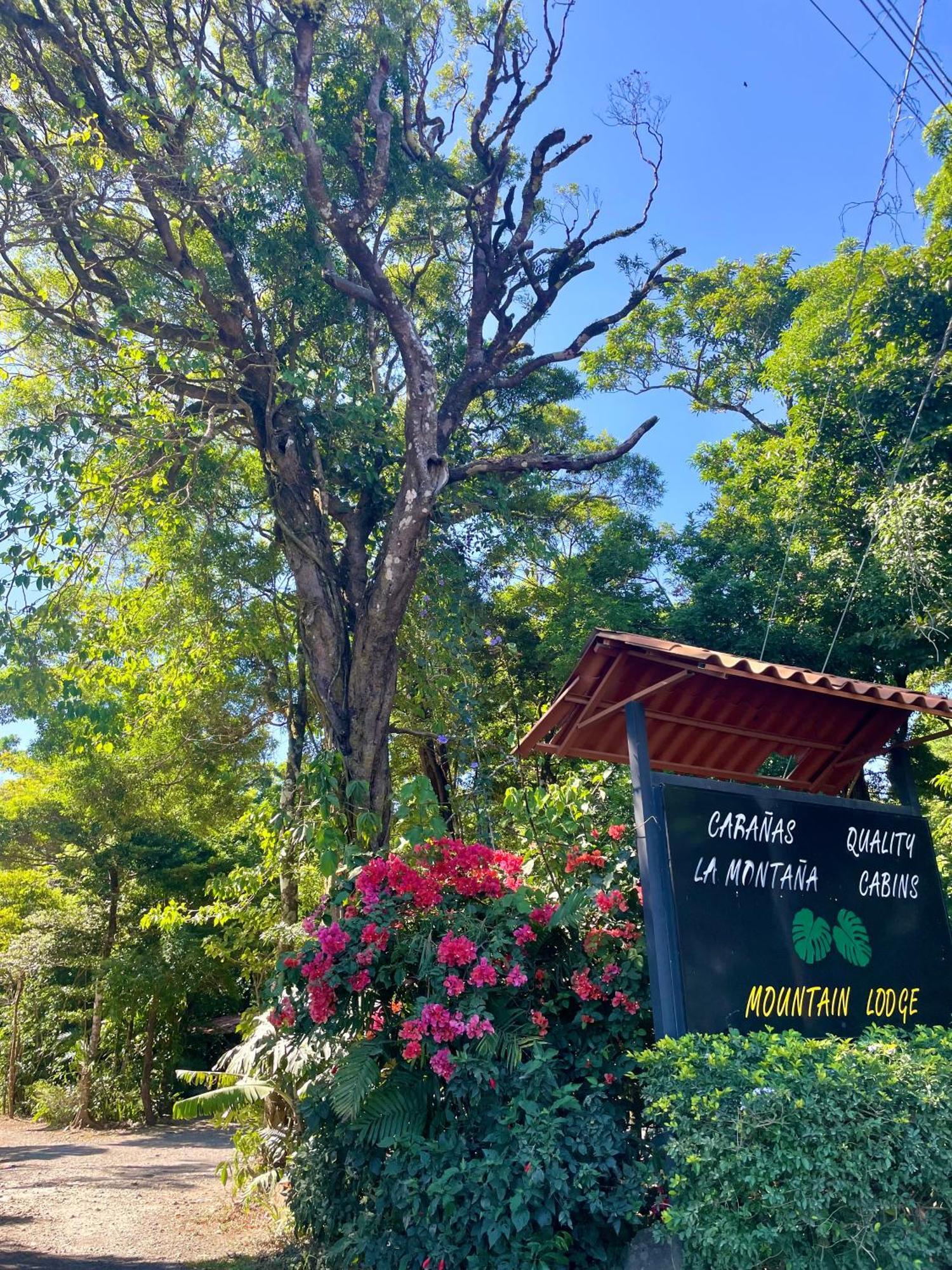 La Montana * Monteverde